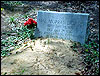 mae murray dorsey grave